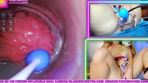 marybrook1 @ stripchat on 20251105