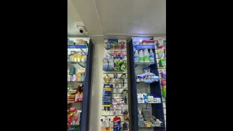 roouse @ stripchat on 20251105