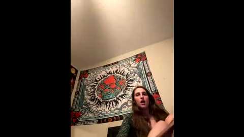 secretknight_mrmask @ stripchat on 20251105