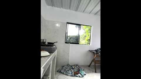 sextury01 @ stripchat on 20251105