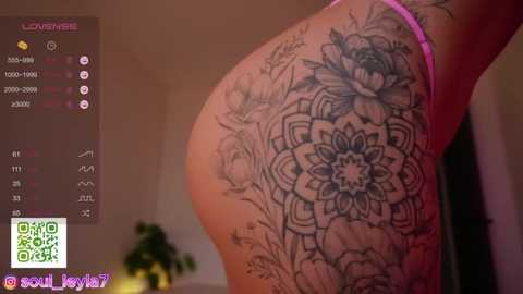 sola_li @ stripchat on 20251105