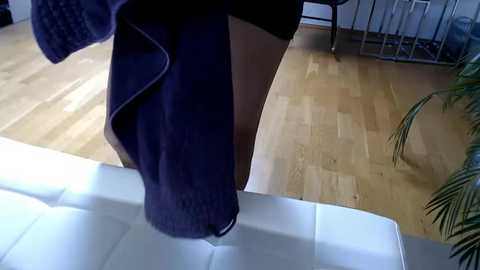 sportyass00 @ stripchat on 20251105