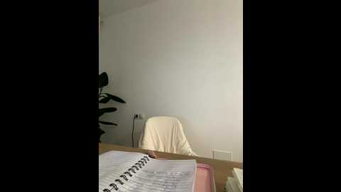 streetdoll @ stripchat on 20251105