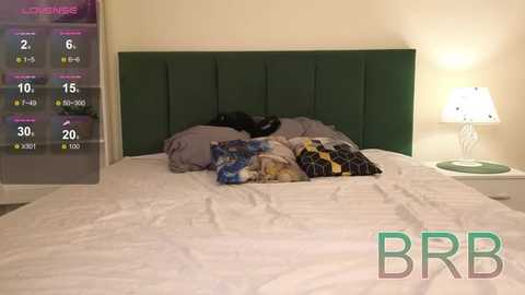 bonnie_white @ stripchat on 20251106