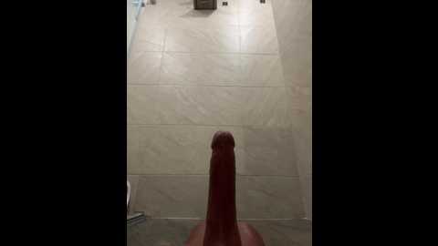 brendacrean @ stripchat on 20251106