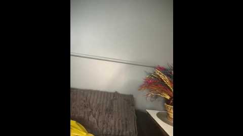 houseforsex @ stripchat on 20251106