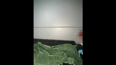 houseforsex @ stripchat on 20251106