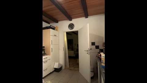 littlechaosqueen @ stripchat on 20251106