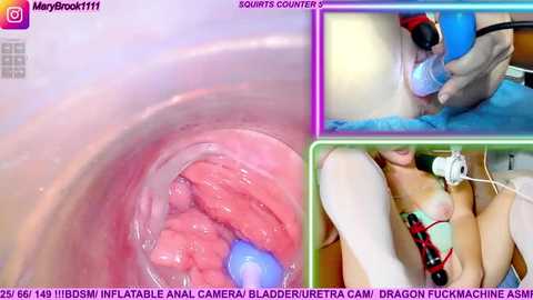 marybrook1 @ stripchat on 20251106