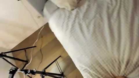 rachel_rey @ stripchat on 20251106