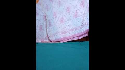 sdlmona @ stripchat on 20251106