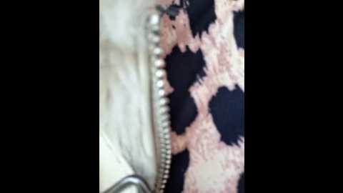 slimbellaa @ stripchat on 20251106