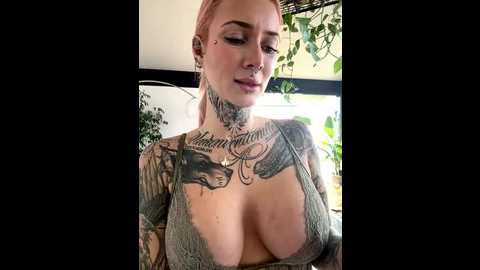 stella_kink @ stripchat on 20251106