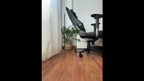 bellagiaxx @ stripchat on 20251107