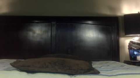 hornylouisewil @ stripchat on 20251107