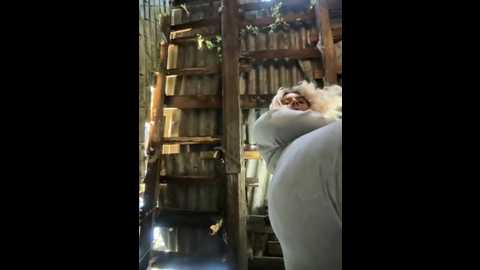 hotamanda01 @ stripchat on 20251107