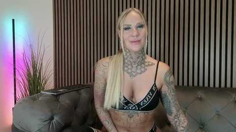 lara_cumkitten @ stripchat on 20251107