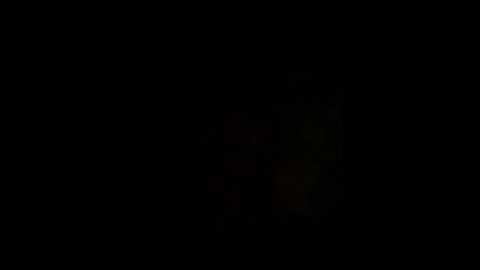 laurahorney_xo @ stripchat on 20251107