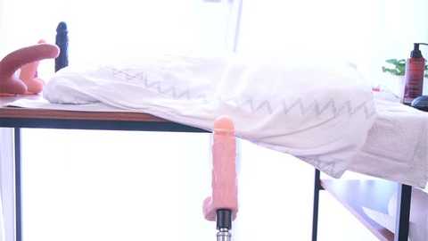 lynbardon @ stripchat on 20251107