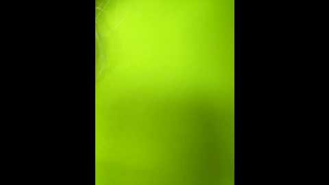 merlindave @ stripchat on 20251107