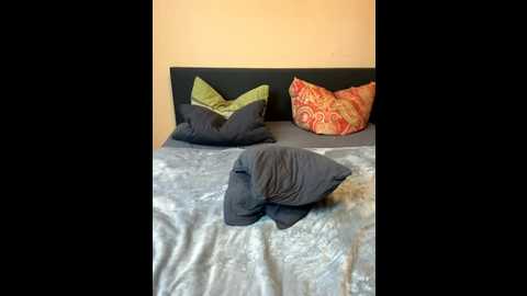 schwiegermamas_alptraum @ stripchat on 20251107