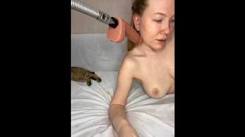 sinadoll @ stripchat on 20251107