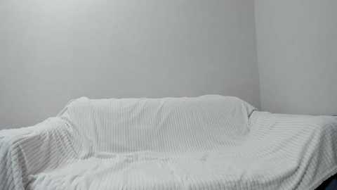 gracebrawn @ stripchat on 20251108