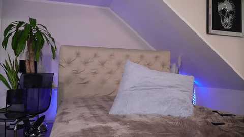 hotmilfbitch @ stripchat on 20251108