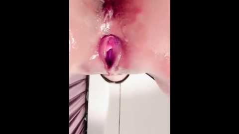 hree65 @ stripchat on 20251108