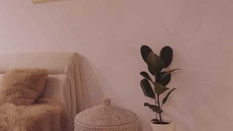 nadia_bliss @ stripchat on 20251108