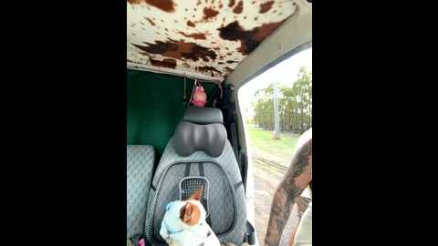 odettedelane @ stripchat on 20251108