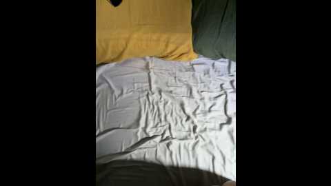 odettedelane @ stripchat on 20251108