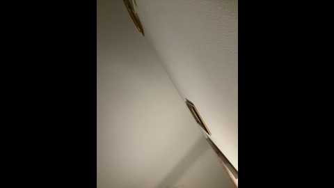 papillondansant @ stripchat on 20251108