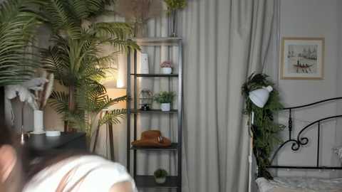 thelmajusto @ stripchat on 20251108