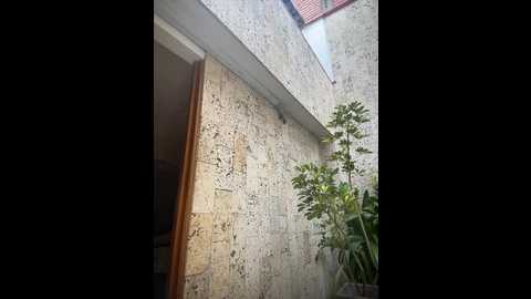 beella1_ @ stripchat on 20251109