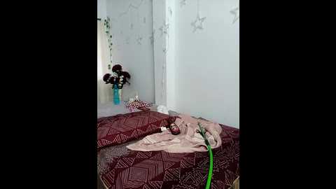 ero_hot @ stripchat on 20251109