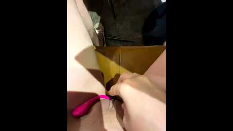 hamy88 @ stripchat on 20251109