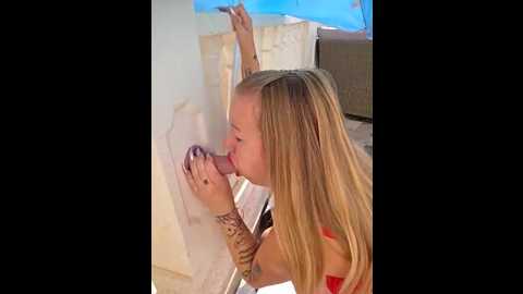 jassy_foxy @ stripchat on 20251109