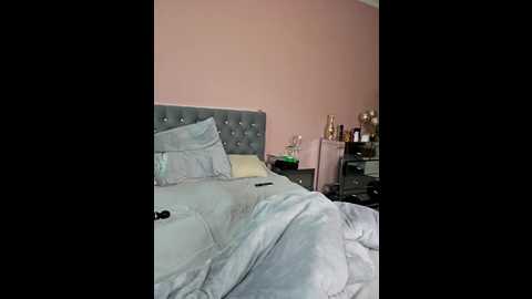 leetizia @ stripchat on 20251109