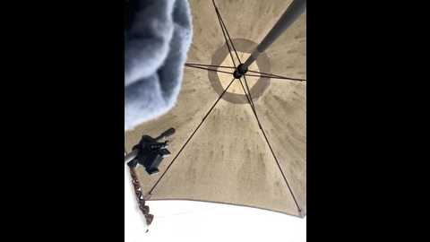 pamelajonsom_ @ stripchat on 20251109