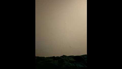 samiraschulz @ stripchat on 20251109