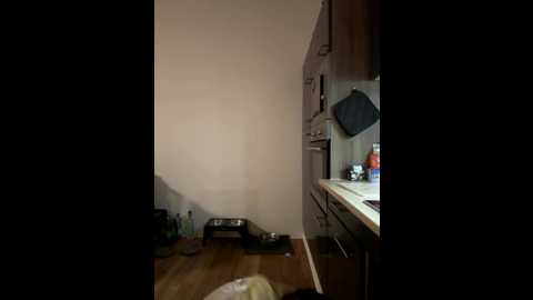 stelli_99 @ stripchat on 20251109