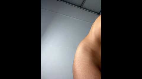 tweetiepiexxx @ stripchat on 20251109