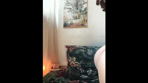 vanillezucker @ stripchat on 20251109