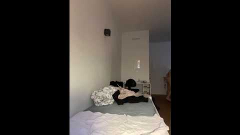 varbia1 @ stripchat on 20251109