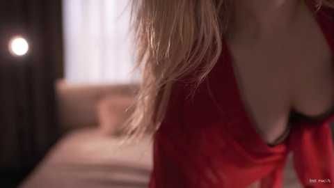 faster_maci @ stripchat on 20251110