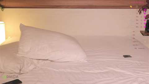 hit_girl_ @ stripchat on 20251110