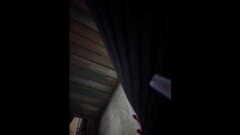 pinkstar_ @ stripchat on 20251110