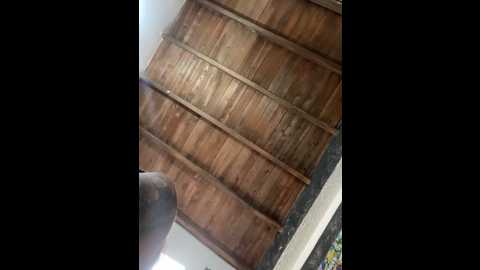 teencutee @ stripchat on 20251110