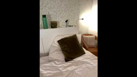 _alisa @ stripchat on 20251111